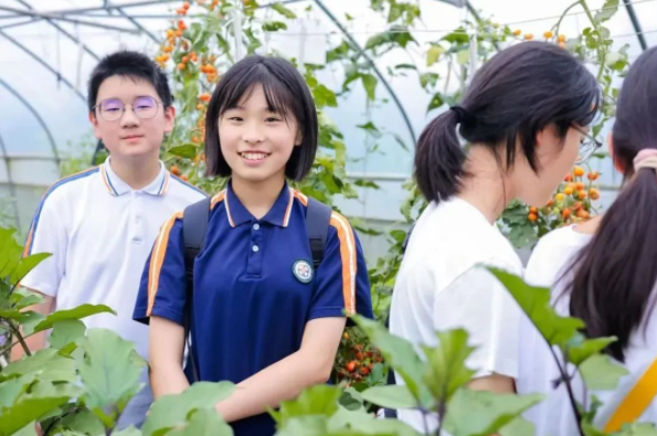 情境使命鼓舞学生运用科学探求工程规划和智能创造力完结应战