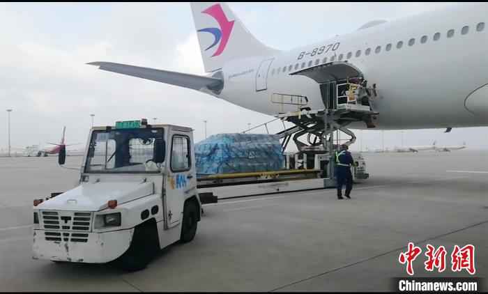 50万只口罩准备运抵首尔。东航供图 有谊无“疫”!东航紧急把上海市捐赠韩国大邱、庆北地区的50万只口罩运至首尔