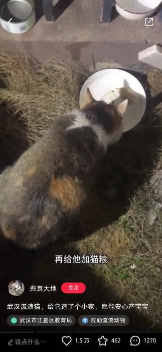  武汉百步亭这家“月子中心”火了 网友：太暖心！